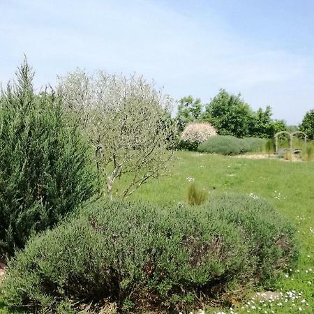 Le Grand Paradis Morannes sur Sarthe-Daumeray المظهر الخارجي الصورة